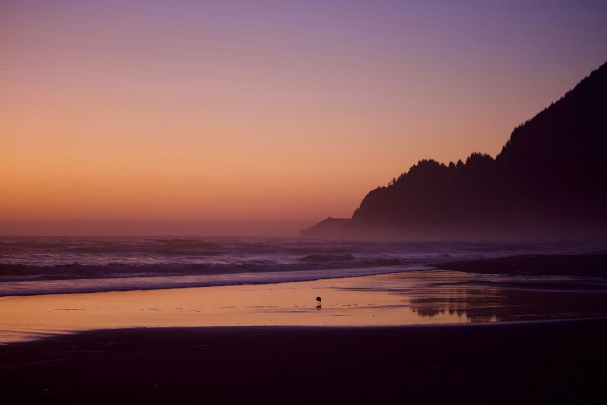 Coastal sunset preview illustrating an expanded landscape canvas